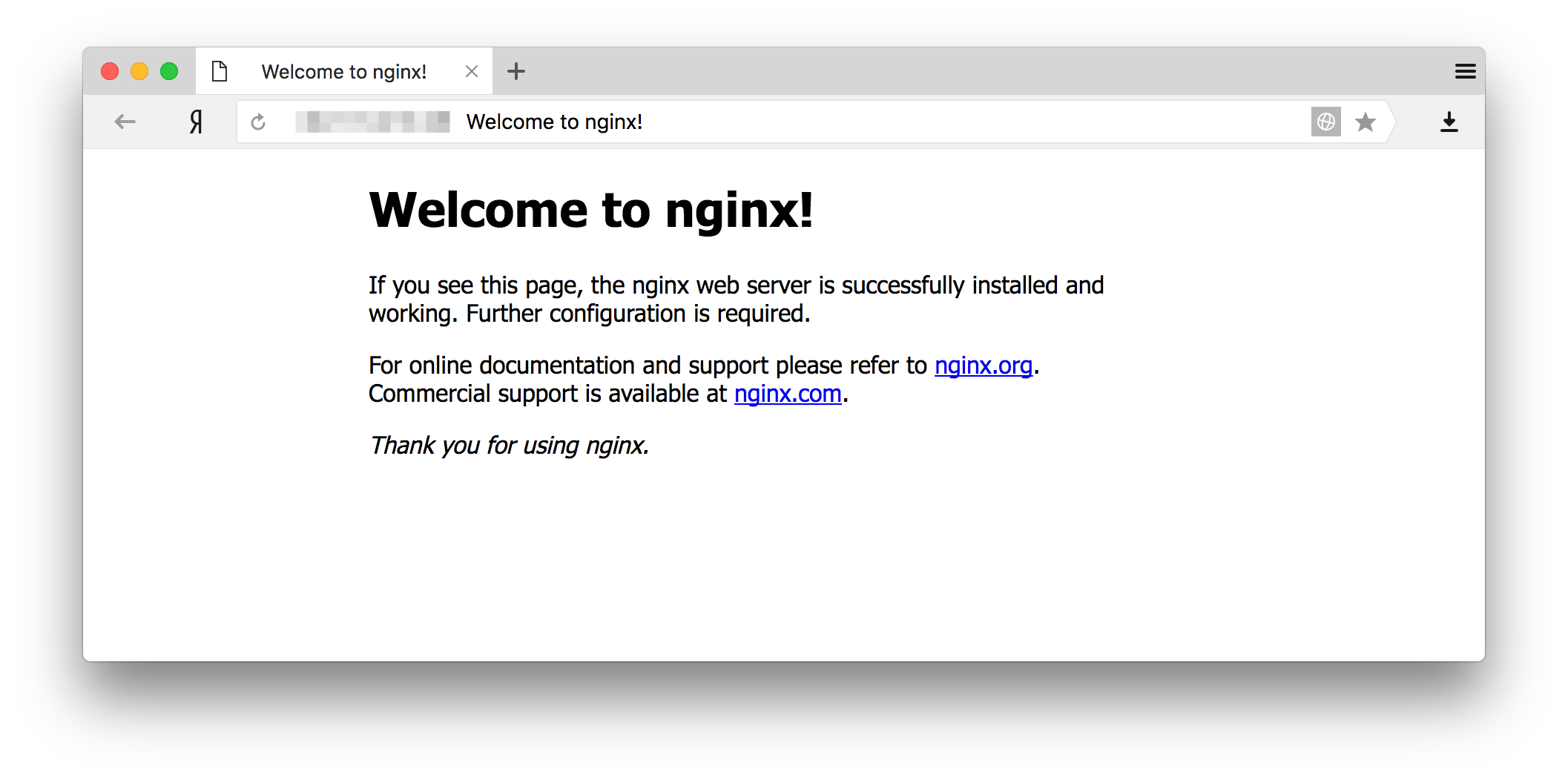 проверка результата установки nginx через docker